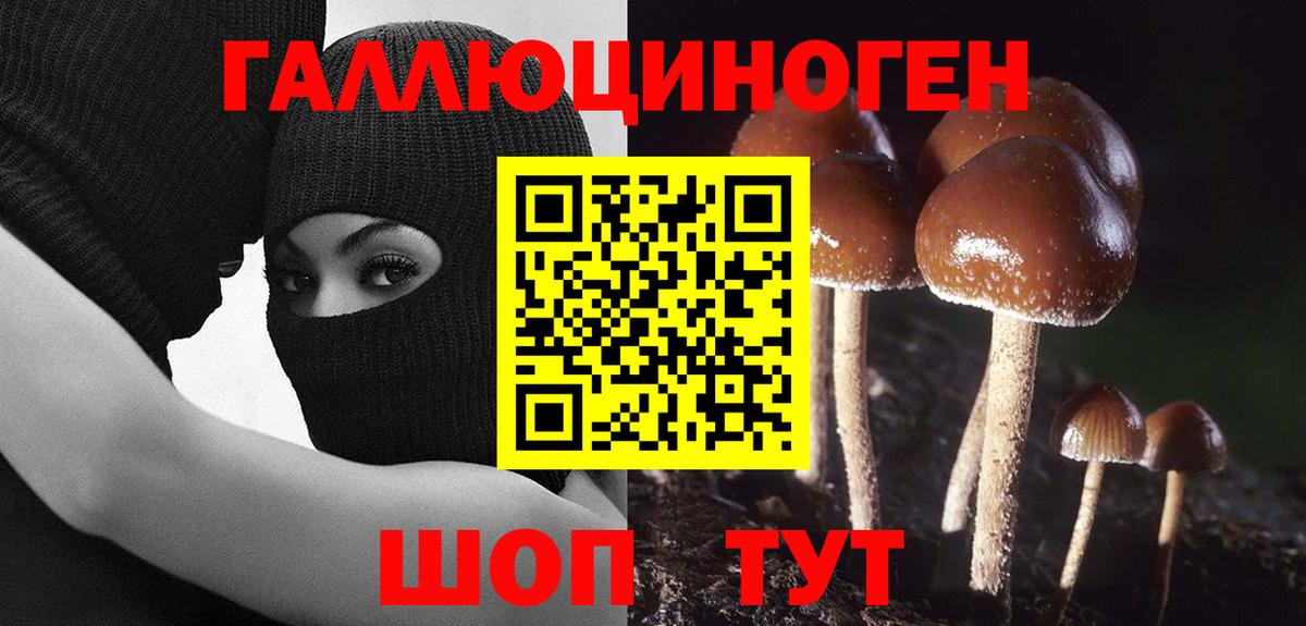 Галлюциногенные грибы GOLDEN TEACHER Вязьма