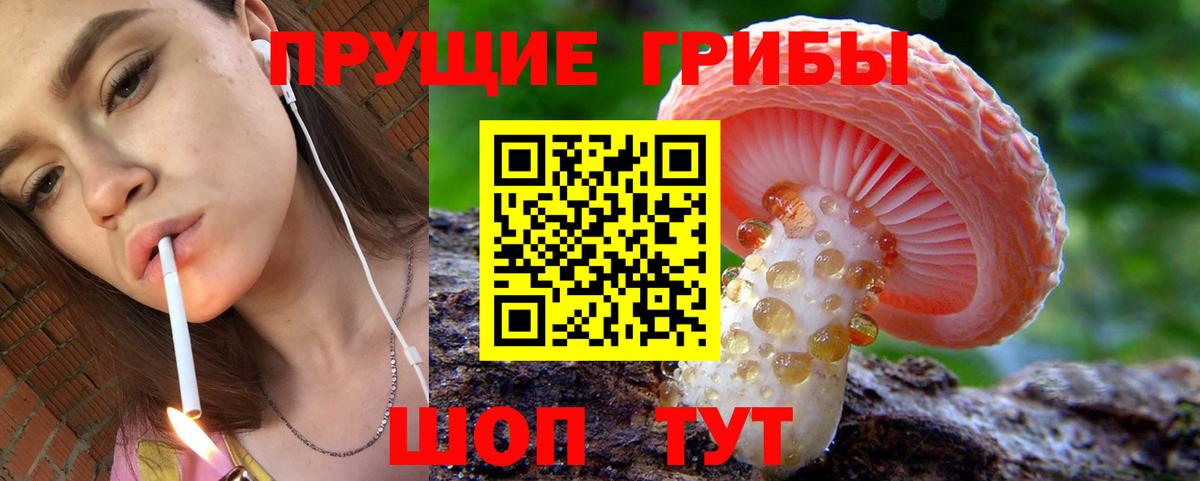 Псилоцибиновые грибы Cubensis  Вход с VPN  где можно купить наркотик  Вязьма  Псилоцибиновые грибы GOLDEN TEACHER 